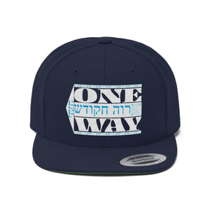 One Way Unisex Flat Bill Hat