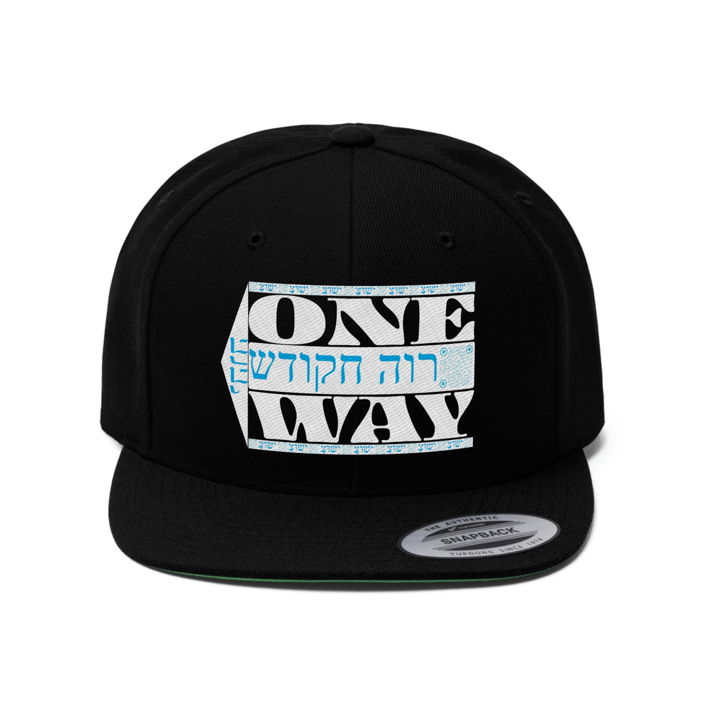 One Way Unisex Flat Bill Hat